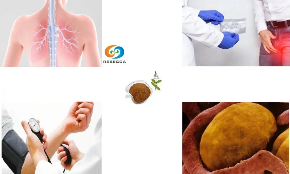 What is Coleus forskohlii extract used for?